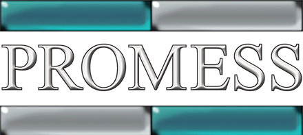 Promess Logo 200px